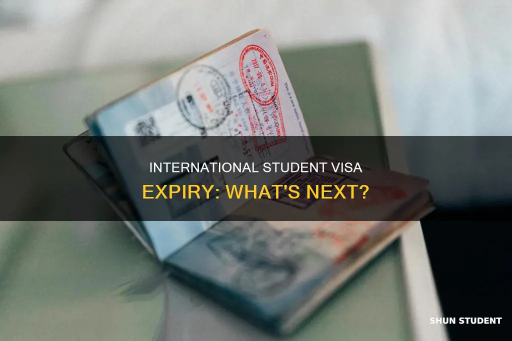 what happens when international student visa expires