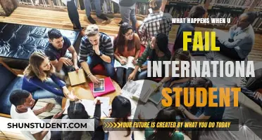 International Student Failure: What's the Worst That Could Happen?