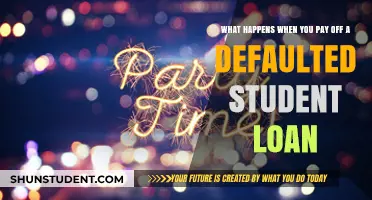 Student Loan Default: Redemption and What Comes After