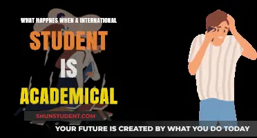 International Students: Academic Struggles and Their Impact