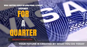 International Student's Life: A Quarter of Suspension