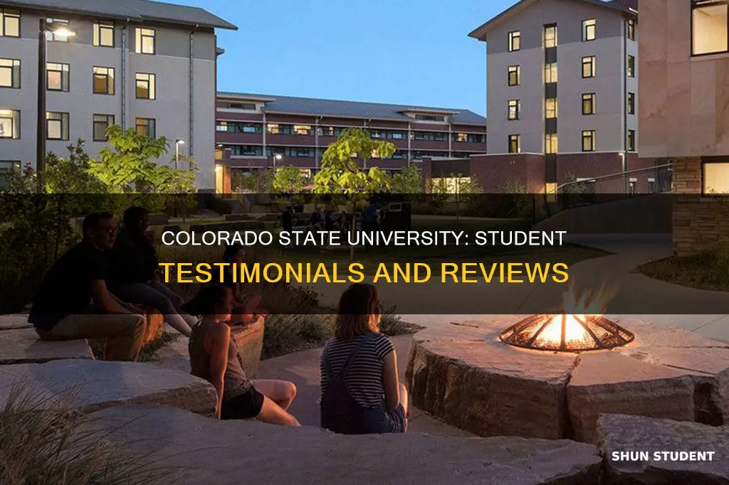 what have students said about colorado state university
