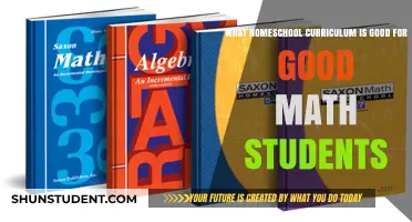 Unlocking Potential: Top Homeschool Math Curricula for Gifted Students