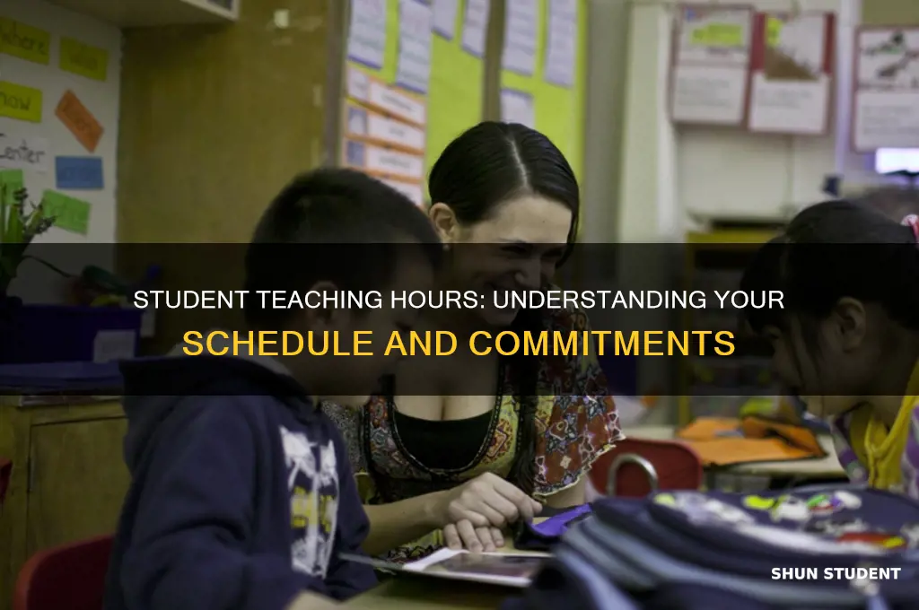 what hours is student teaching