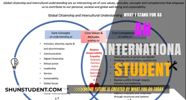 My Voice as an International Student