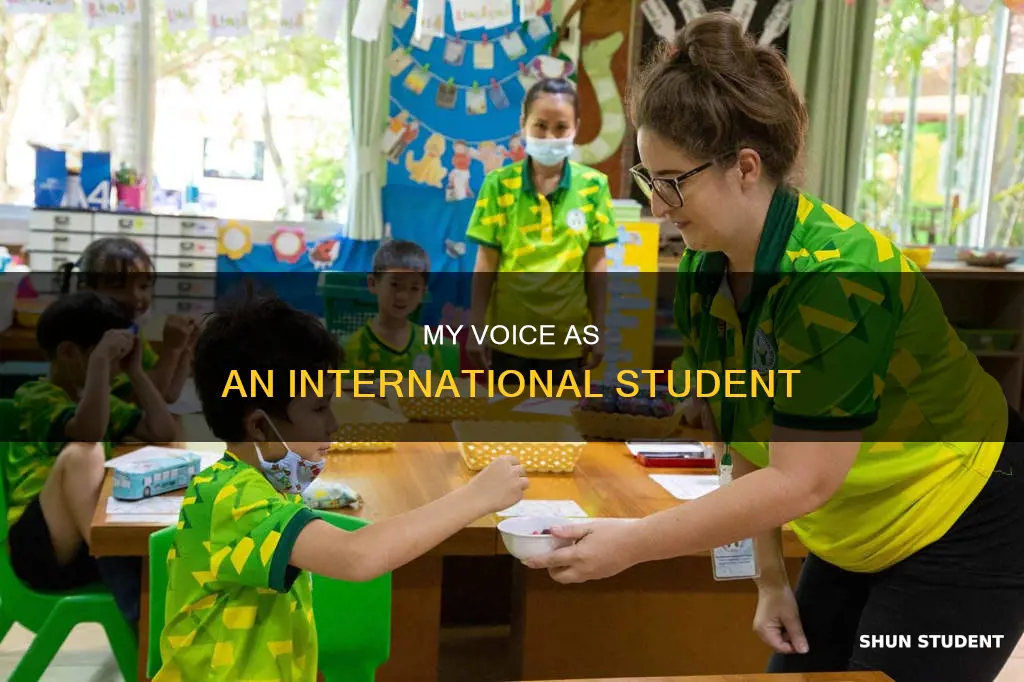 what i stand for as an international student