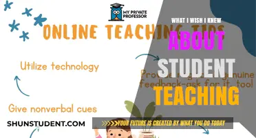 Student Teaching Secrets: Lessons Learned for a Successful Classroom Journey