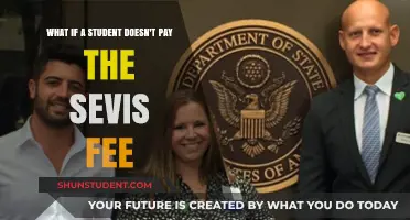 Consequences of Not Paying the SEVIS Fee