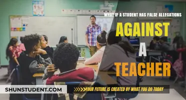 False Allegations Against Teachers: Impact, Rights, and Navigating Consequences