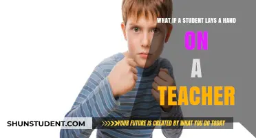 When Students Cross the Line: Addressing Physical Aggression in Schools
