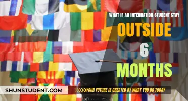 Staying Outside: International Student's Six-Month Saga