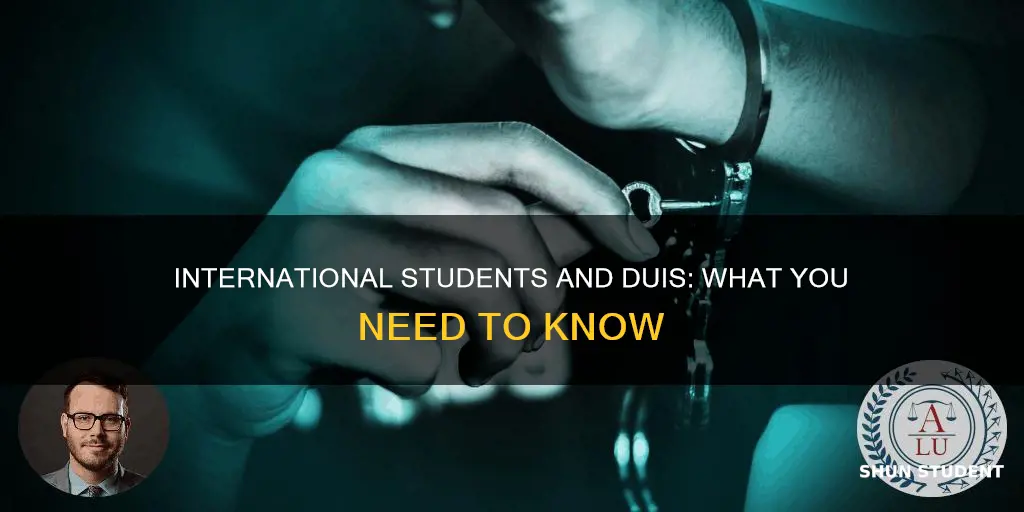 what if an international students receives a dui