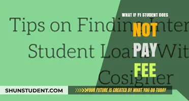 F1 Students: Unpaid Fees, What Next?