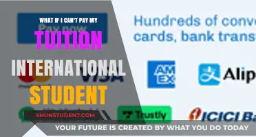 International Student Tuition Woes: What Are My Options?