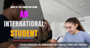 TurboTax for International Students: A Guide