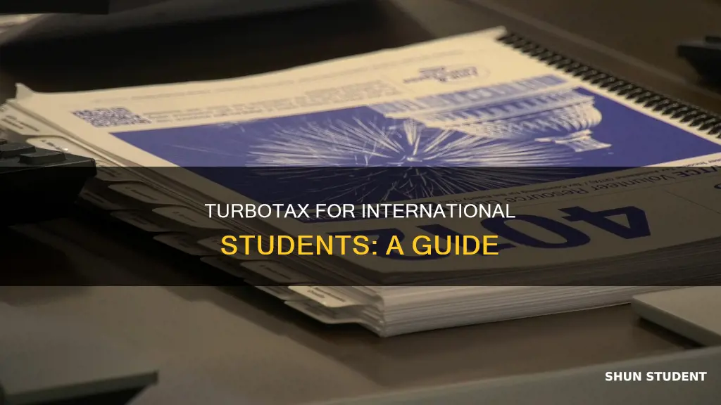 what if i do turbotaxa being an international student