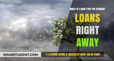 Student Loans: Delaying Payments, What's the Worst That Can Happen?
