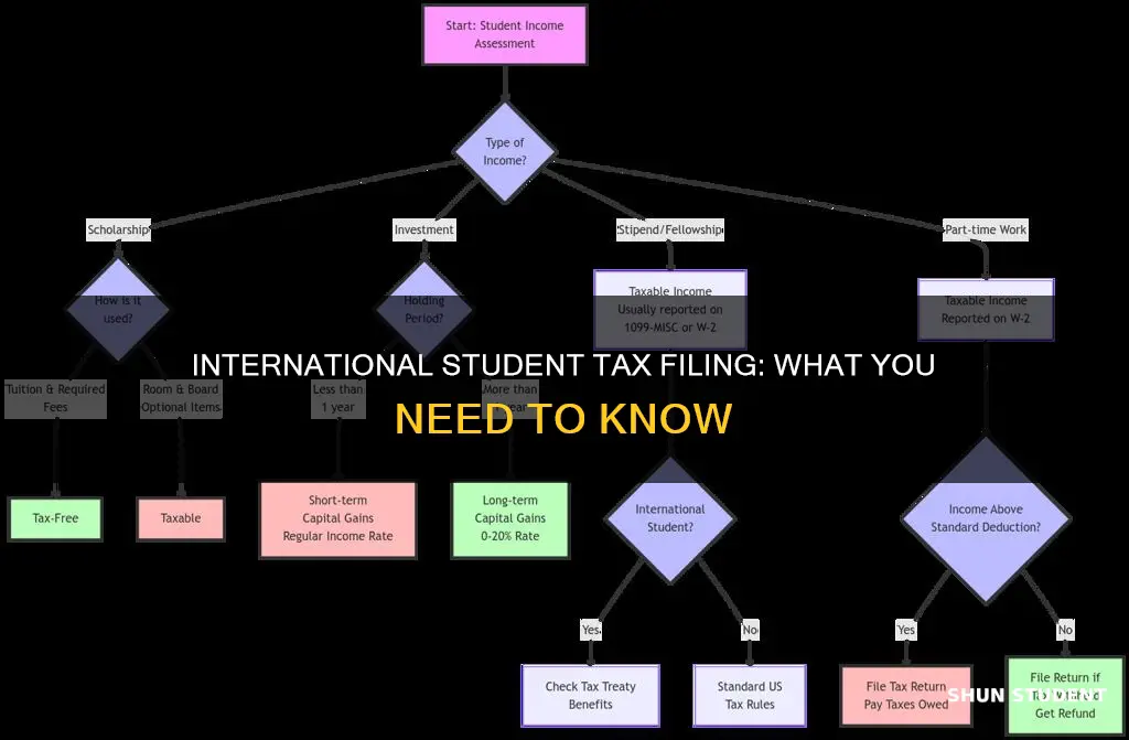 what if i file taxes as international student