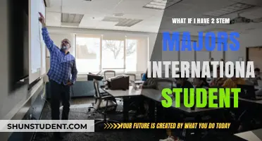 Pursuing Two STEM Majors: An International Student's Story