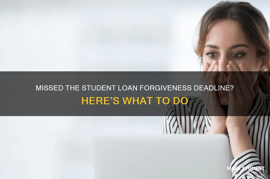 what if i missed the student loan forgiveness deadline