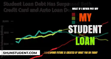 Student Loan Debt: A Lifetime of Servitude?