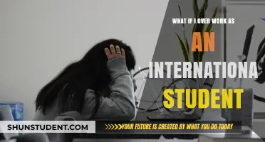 Overworked and Overseas: The International Student's Plight