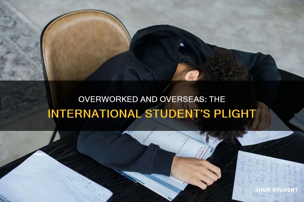 what if i over work as an international student