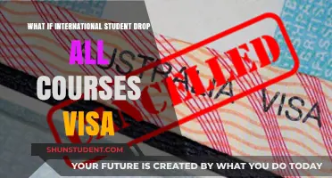 Visa Conundrum: Dropping Courses as an International Student