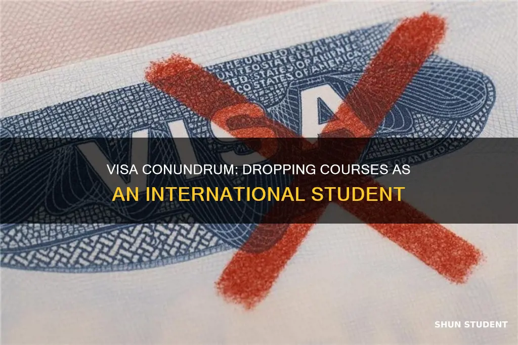 what if international student drop all courses visa