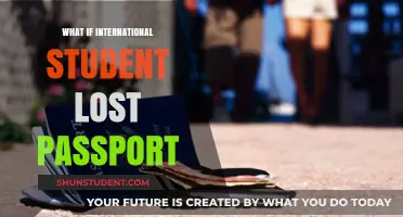 A Lost Passport: What International Students Should Do