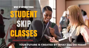 Skipping Classes: A Recipe for International Student Disaster