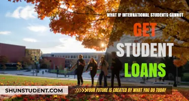 International Students: No Loans, No Education?