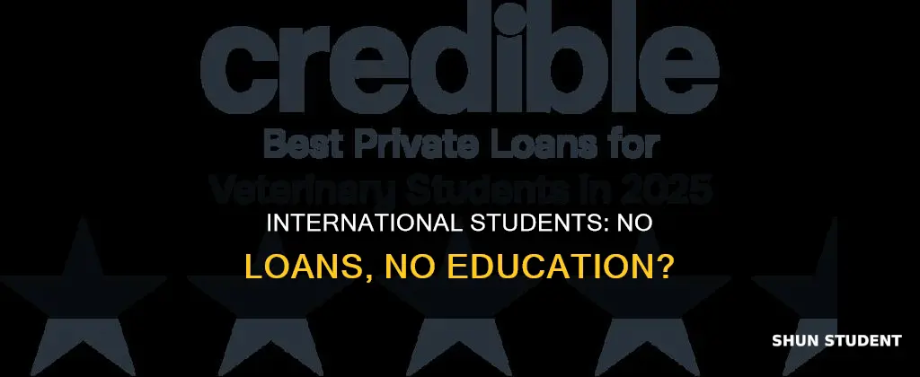 what if international students cannot get student loans