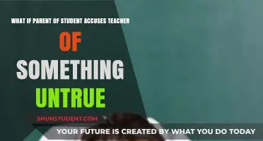 Untrue Accusations: Navigating False Claims Against Teachers by Parents