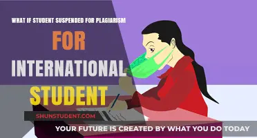 Plagiarism: International Students Face Severe Consequences