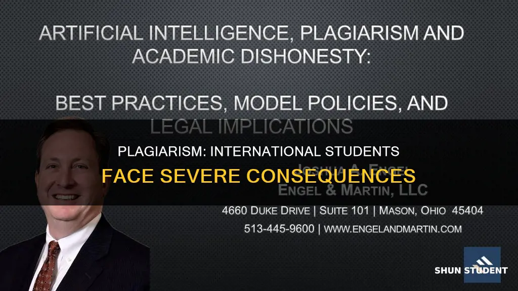 what if student suspended for plagiarism for international student
