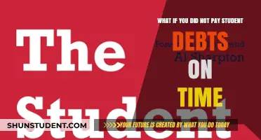 Student Debt: The High Cost of Late Payments
