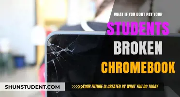 Broken Chromebook? You May Face Legal Consequences