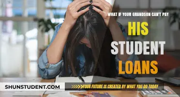 Student Loans: Grandson's Debt, Your Advice