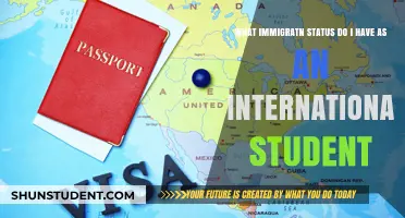 International Student Immigration Status: Understanding Your Rights