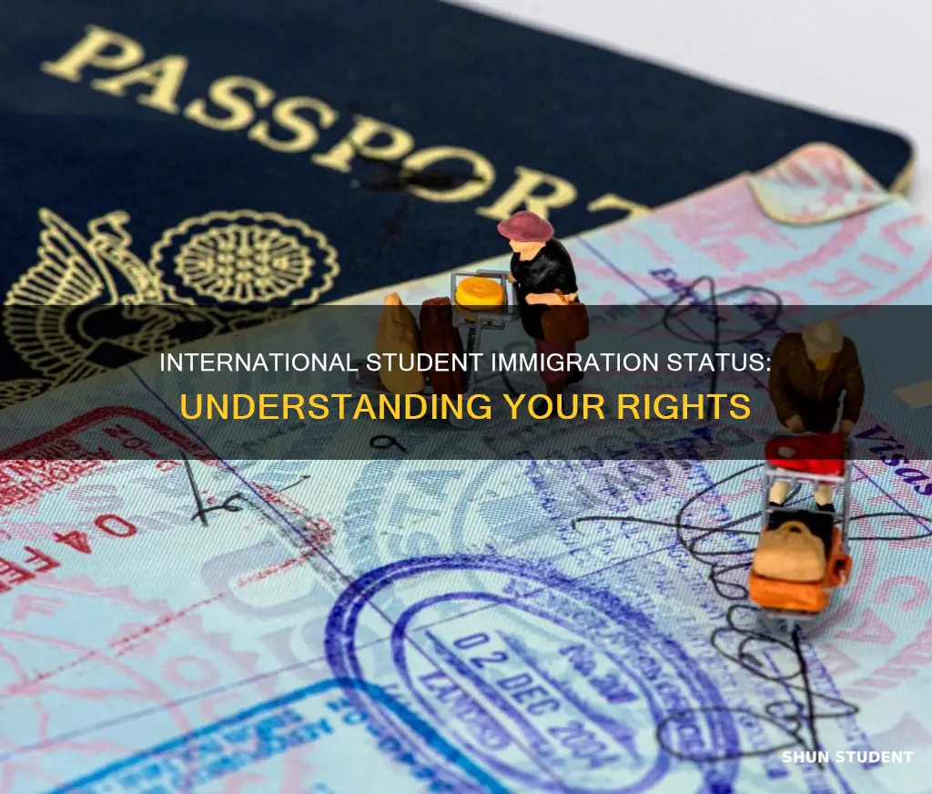 what immigratn status do i have as an international student