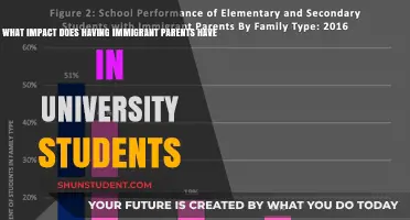 Immigrant Offspring: University Students' Experience