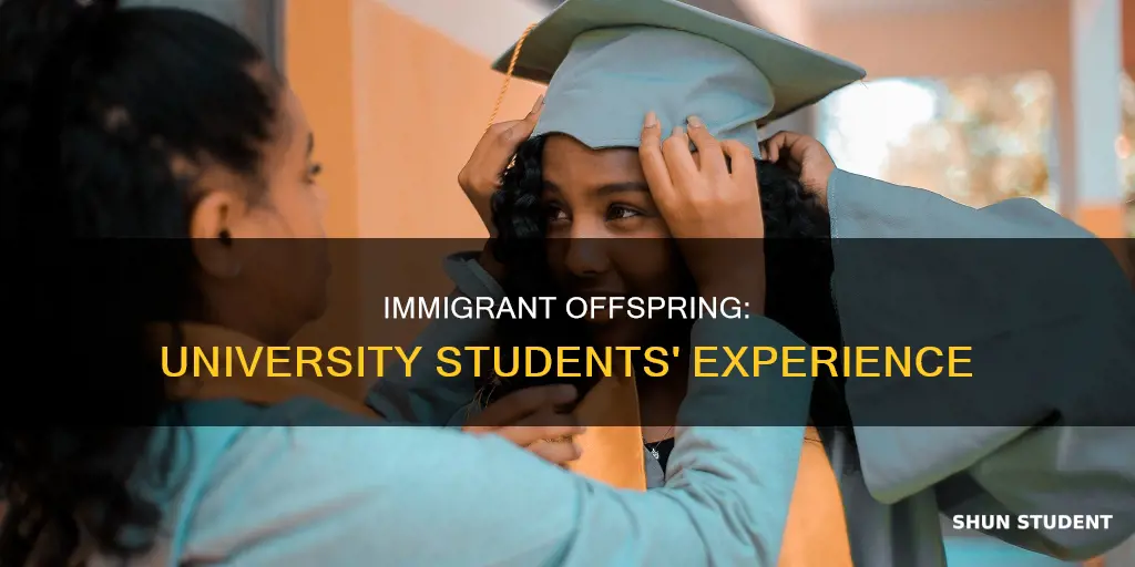 what impact does having immigrant parents have in university students