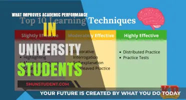 Strategies for Enhancing University Grades and Performance