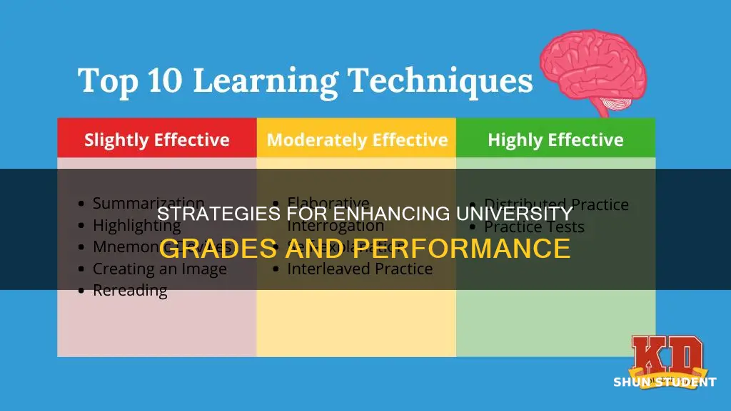 what improves academic performance in university students