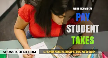 Student Tax Tips: Understanding Income and Payments