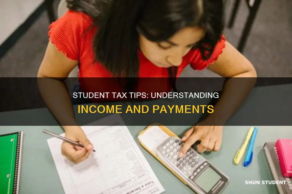 what income can pay student taxes