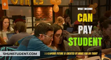Student Income: Earning Options for Education