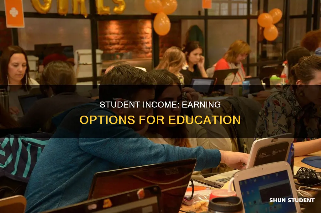 what income can pay student