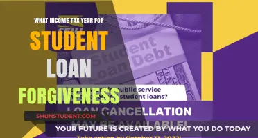 Student Loan Forgiveness: Which Tax Year Applies to Your Relief?